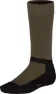 Olive Night