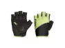 Northwave Fast cykelhandskar cool matcha dam