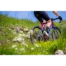 Northwave Fast Cykelshorts