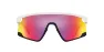 Oakley BXTR Glasögon
