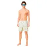 Oakley Canary Palms Rc 18´´ Simshorts male