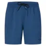 Oakley Checkered 18´´ Simshorts male