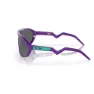 Oakley Cmdn Solglasögon