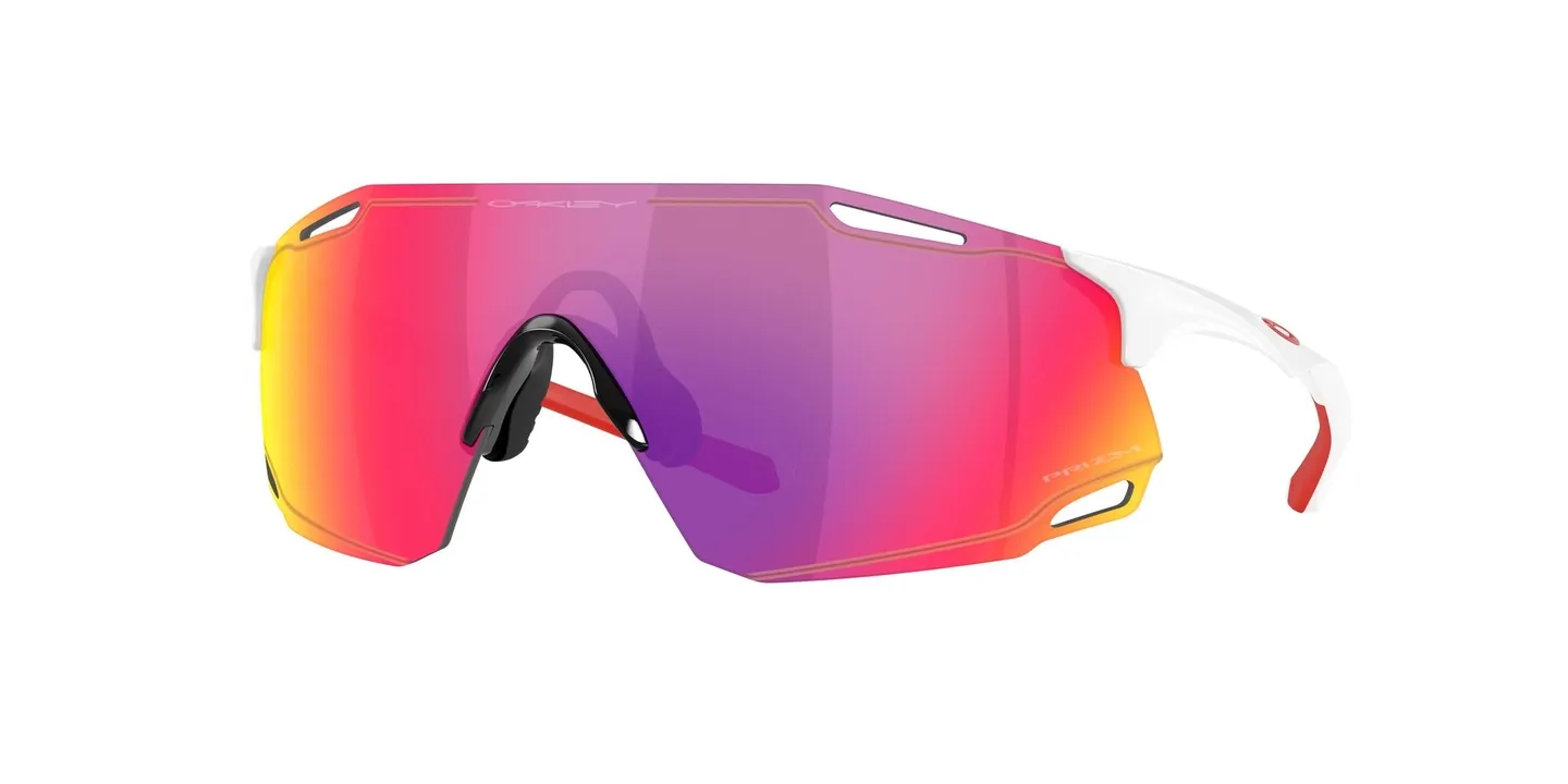 Oakley CYBR Dyno Glasögon Oakley CYBR Dyno Glasögon