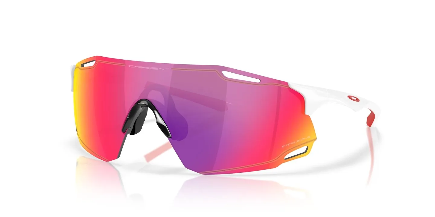 Oakley CYBR Dyno Glasögon Oakley CYBR Dyno Glasögon