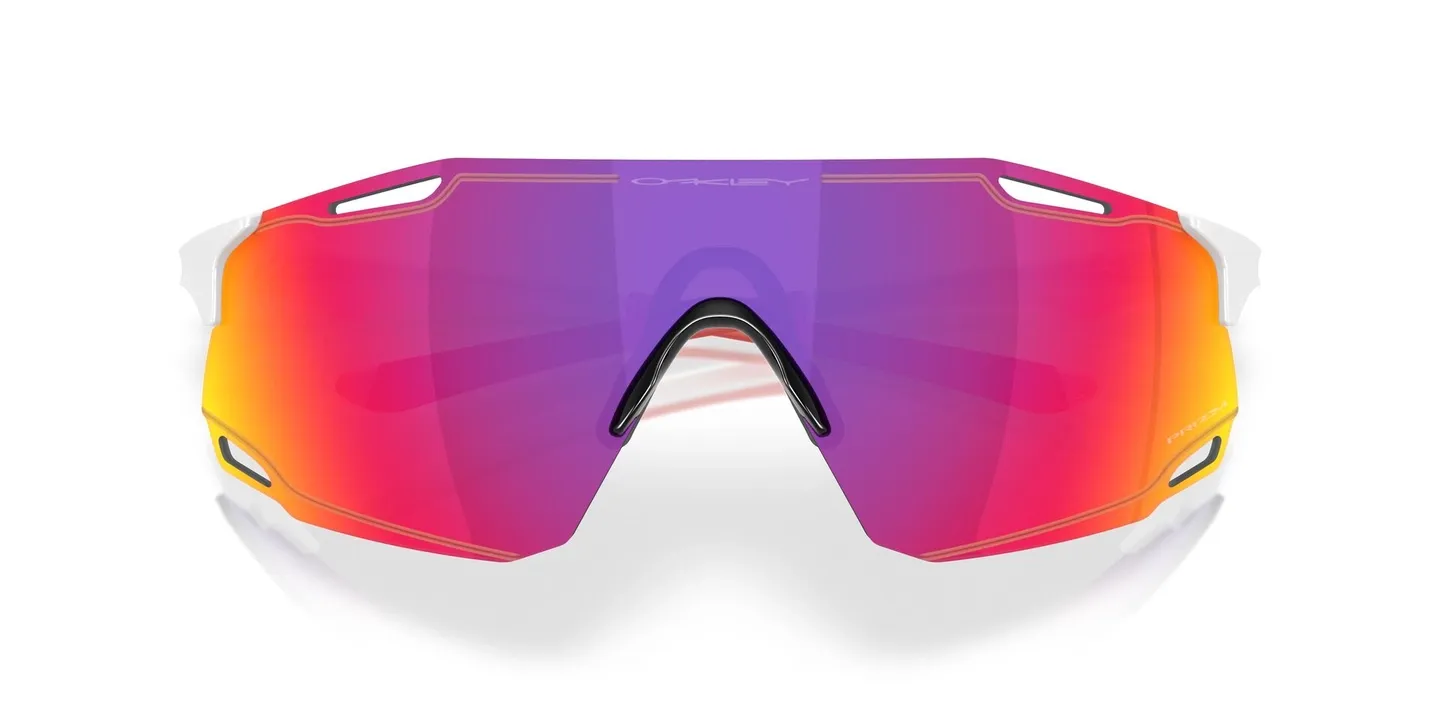 Oakley CYBR Dyno Glasögon Oakley CYBR Dyno Glasögon