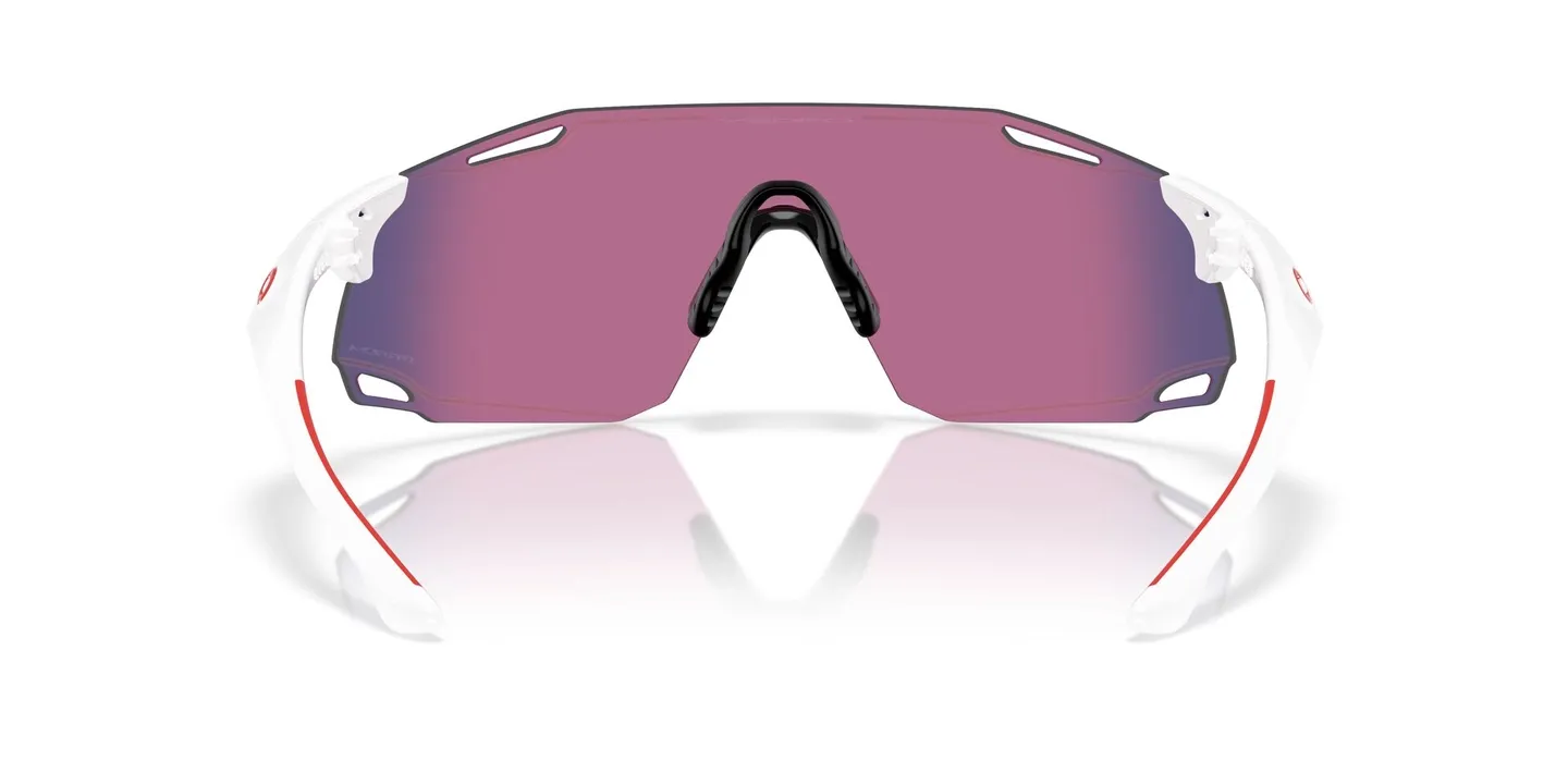 Oakley CYBR Dyno Glasögon Oakley CYBR Dyno Glasögon