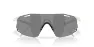 Oakley CYBR Dyno Glasögon