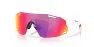 Oakley CYBR Dyno Glasögon