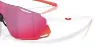 Oakley CYBR Dyno Glasögon