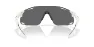 Oakley CYBR Dyno Glasögon