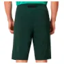 Oakley Drop In Mtb Shorts