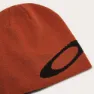 Oakley Ellipse Mössa