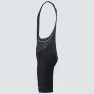 Oakley Endurance ULTRA BIB Shorts