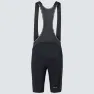 Oakley Endurance ULTRA BIB Shorts