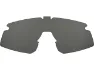 Prizm black/cat3