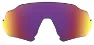 Oakley Flight Jacket Lins
