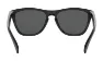 Oakley Frogskins Glasögon