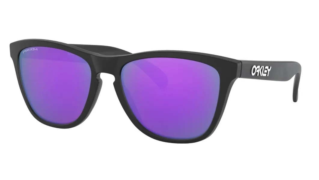 Oakley Frogskins Glasögon Oakley Frogskins Glasögon