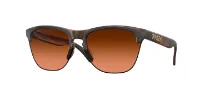 Oakley Frogskins Lite Glasögon Oakley Frogskins Lite Glasögon