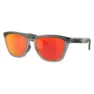 Oakley Frogskins Range Polariserade Solglasögon