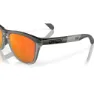 Oakley Frogskins Range Polariserade Solglasögon