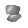 Grey polarized/cat3