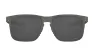 Oakley Holbrook Metal Prizm Glasögon