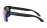 Oakley Holbrook Prizm Glasögon