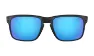 Oakley Holbrook Prizm Glasögon