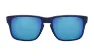 Oakley Holbrook XS Glasögon
