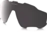 Prizm black polarized