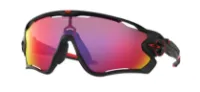 Oakley Jawbreaker Prizm Glasögon