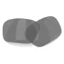 Oakley Masseter Ersättningslinser