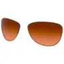 Prizm brown gradient/cat3