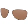 Prizm tungsten polarized/cat3