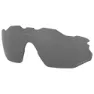 Prizm black polarized