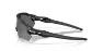 Matte black/prizm black polarized