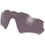 Prizm daily polarized/cat3