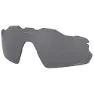 Prizm polarized black/cat3
