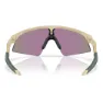 Oakley Resistor Sweep (Youth Fit)