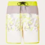Oakley Session Rc 19´´ Boardshort Simshorts male