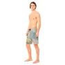 Oakley Striped 19´´ Boardshort Simshorts male