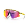 Oakley Sutro Lite Sweep Vented TDF Eyewear, Tdf splatter, Prizm Road/CAT2
