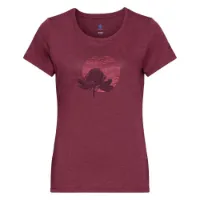 Odlo Halden Print T-shirt Med Korta ärmar Odlo Halden Print T-shirt Med Korta ärmar