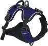 OllyDog Alpine Reflective Harness