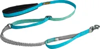 OllyDog Flagstaff Adjustable Spring Leash