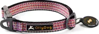 OllyDog Flagstaff Collar OllyDog Flagstaff Collar