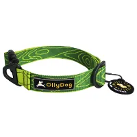 OllyDog Flagstaff Collar OllyDog Flagstaff Collar