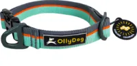 OllyDog Flagstaff Collar OllyDog Flagstaff Collar